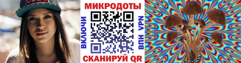 Галлюциногенные грибы Psilocybe  Горбатов 